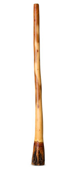 Satin Finish Ironbark Didgeridoo (IB174)